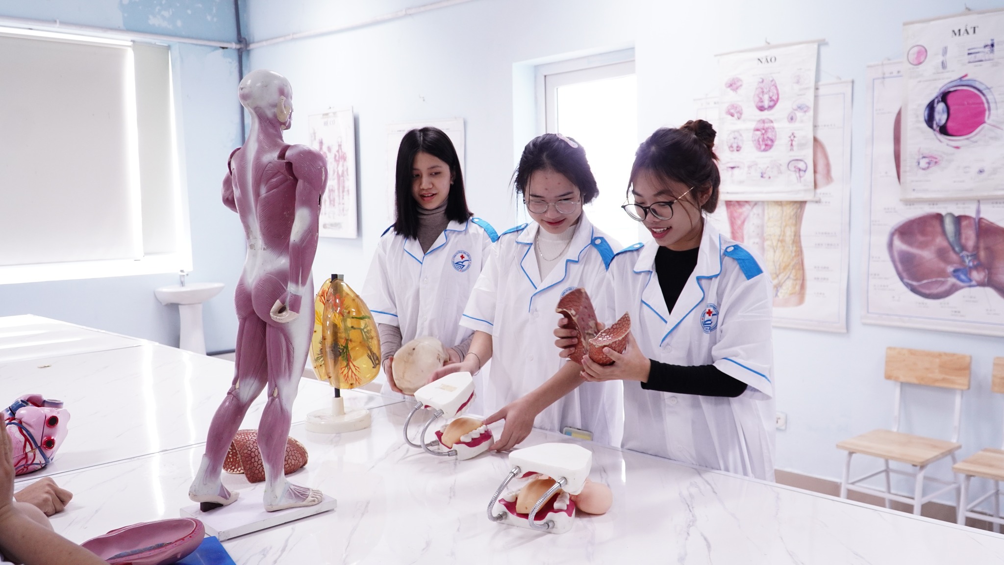 Y sĩ đa khoa trường Cao Đẳng Kỹ Thuật Y Dược Hà Nội