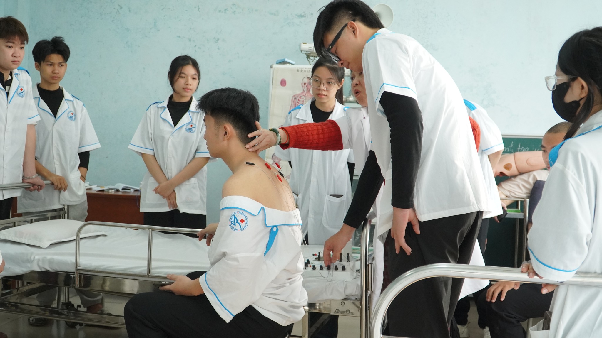 Ngành Y học cổ truyền học gì? Ra trường làm gì?