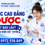 Học Cao Đẳng Dược Mất Bao Lâu? Điều Kiện Xét Tuyển